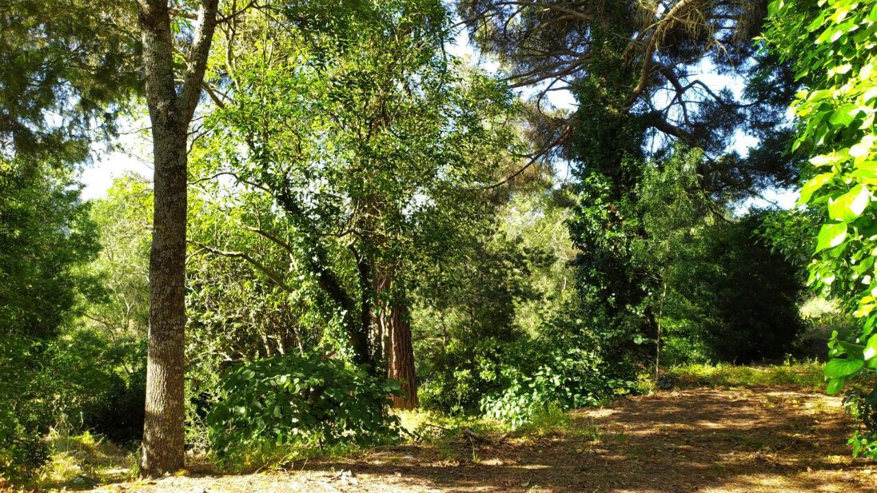 Casal Dos Zimbros Villa Corticos Luaran gambar